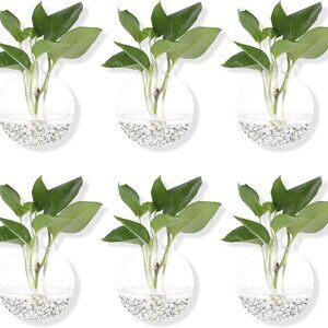 Hanging Wall Planters Pack of 6 Glass Planter Pots Round Glass Flower Vases Hang